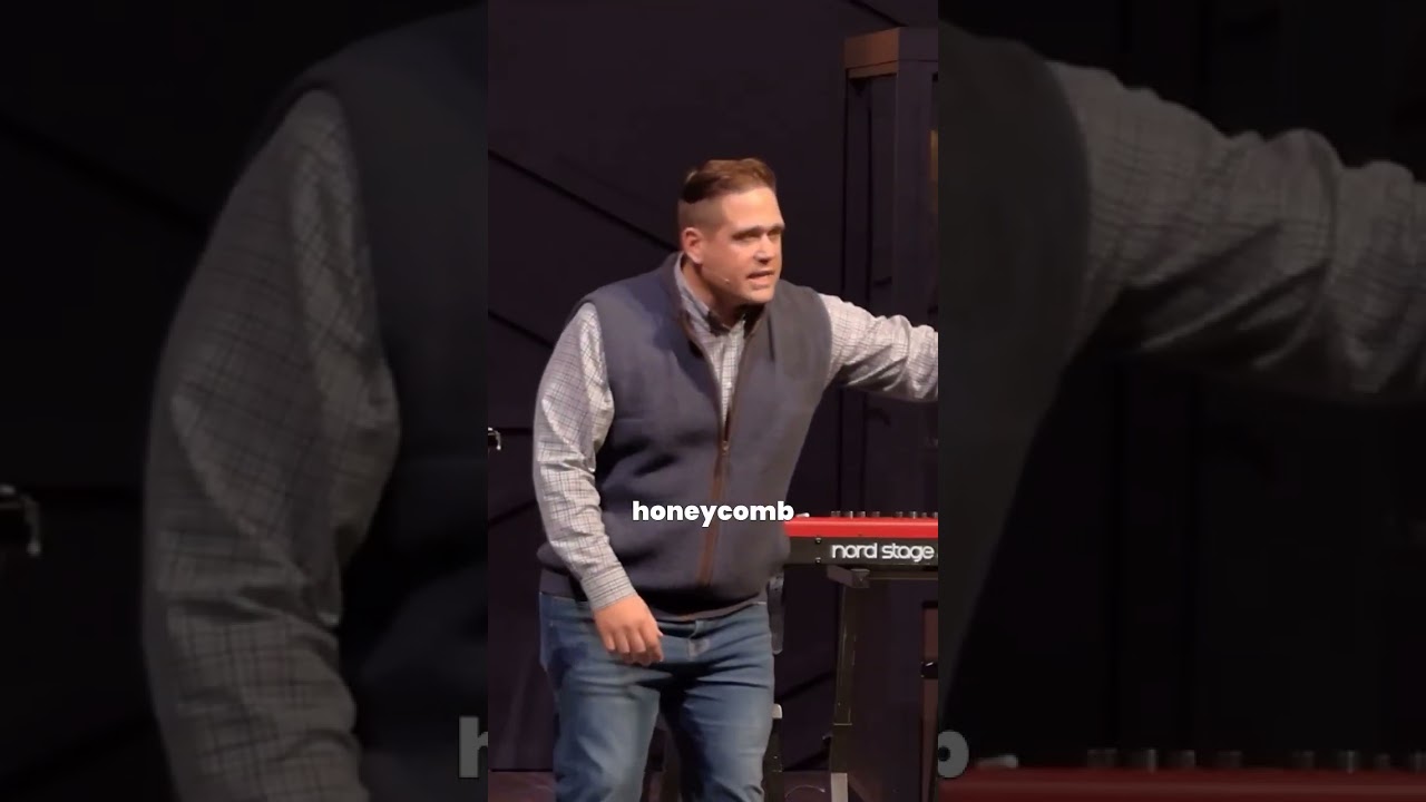 Ты виноградина или медовые соты? 