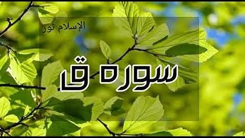 سوره ق للقارئ احمد سعيد العمراني