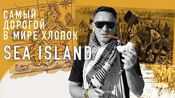 ХЛОПОК SEA ISLAND - САМЫЙ ДОРОГОЙ И САМЫЙ ЛУЧШИЙ