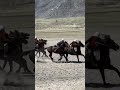 Кок-Бору Алтай 2023