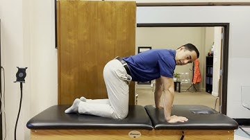 Quadruped to Lumbar Flexion