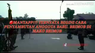 Download Lagu 🔴🔴 Wawww!!!! Mantap. Ternyata begini tradisi penerimaan anggota brimob yg baru masuk mako brimob MP3