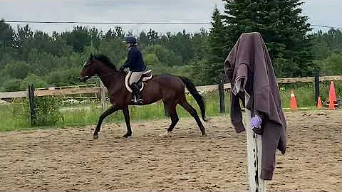 Leeanne Gilbert - Raffi # 23 Show Hack w/t/c on th...