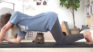 I Can't Get Any Work(outs) Done at Home Because of LuLu! (ENG SUB)