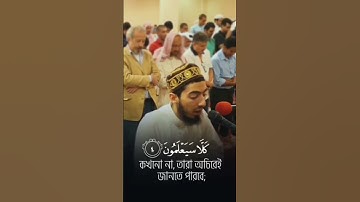 تلاوة فهد عزيز نيازي مريحة للنفس🤍 أكتب شيء تؤجر عليه #راحة_نفسية #قرآن #خشوع