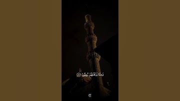 اكتب شيء تؤجر عليه 🎧🩶😴 #القارئ_عبدالرحمن_مسعد #karim_quran_1