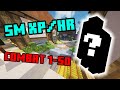 How To Gain Combat XP Fast in Hypixel Skyblock