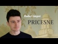 PRICESNE - Iisus ne cheamă jalnic - Radu Cimpoi