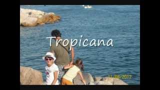 Video thumbnail of "Tropicana"