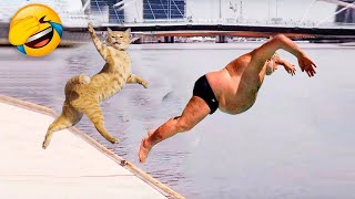Funniest Cats And Dogs Videos 😍| Try Not To Laugh #39