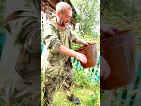 Старая деревня 😱и заброшенный колодец 🫣сколько там всего 🥹#рекомендации #рек #топ #fyp