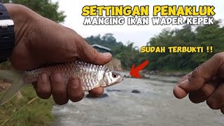 SUDAH TERBUKTI SETINGAN SENSITIF BUAT  IKAN WADER KEPEK !! Mancing Ikan Wader Kepek Teknik Kumbul