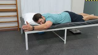 Home Exercise Program: Prone Y/Shoulder Lower Trap Raises