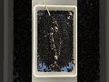 The skeleton of the ocean's unicorn 🦄🐋 #narwhal #ocean #timelapse #oddlysatisfying #vultureculture
