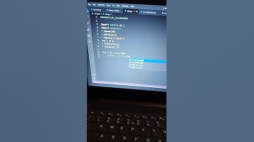Wonderful-  Python Turtle Graphics | Python Turtle #reels #short #turtle #video #coding