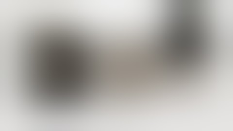 Mutation X v4 Review