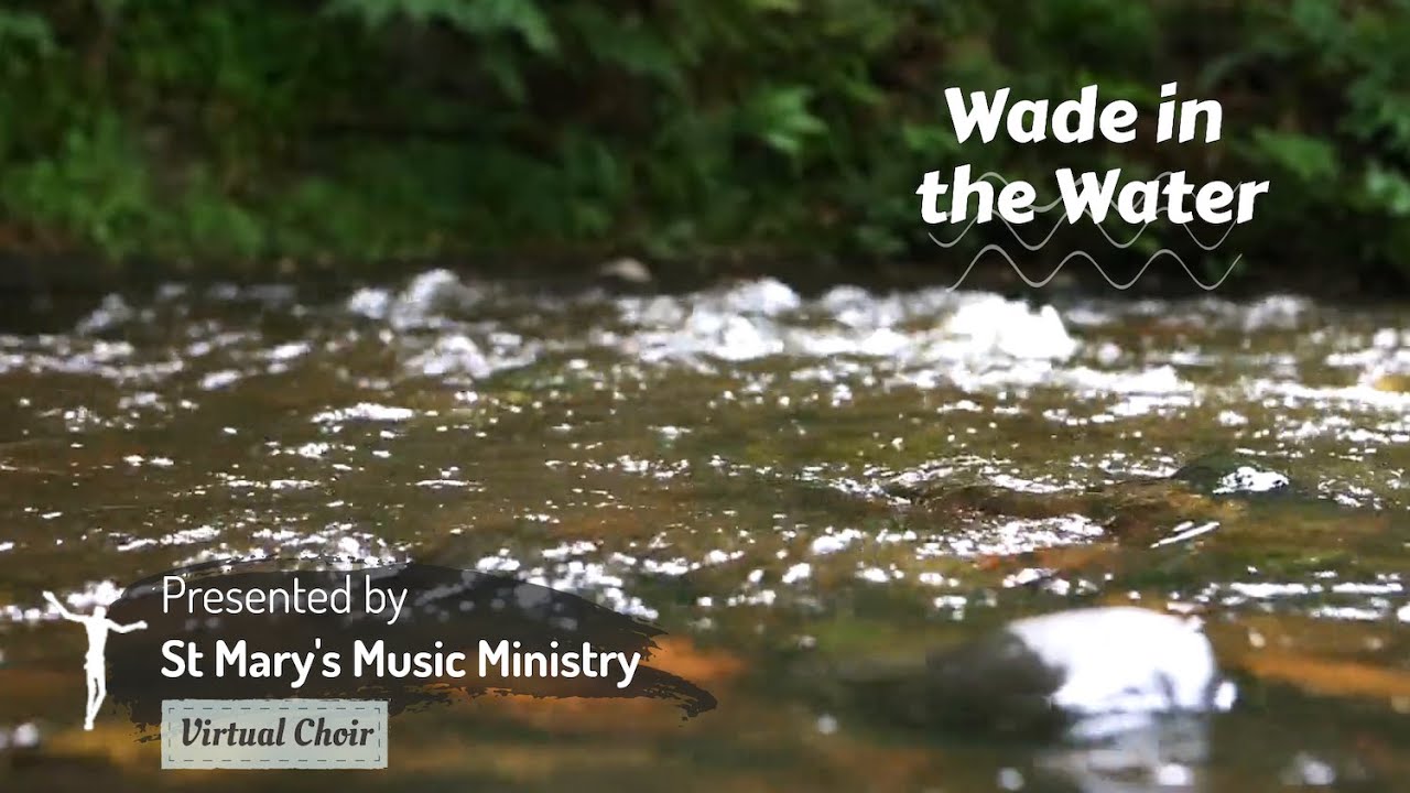 Wade in the Water - Michael D. Ridge