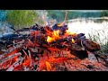Cozy campfire 🔥 Relaxing fire sounds in nature 🔥 Fire crackling sounds (NO MUSIC)