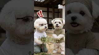 좋은 소식 나쁜 소식 있다는 아내 말에 남편이 한 말 🤣 #shorts