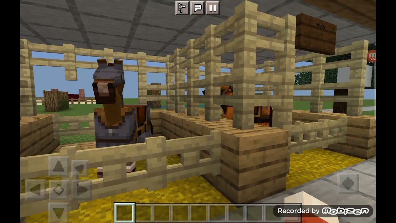 Visite de mon centre équestre minecraft