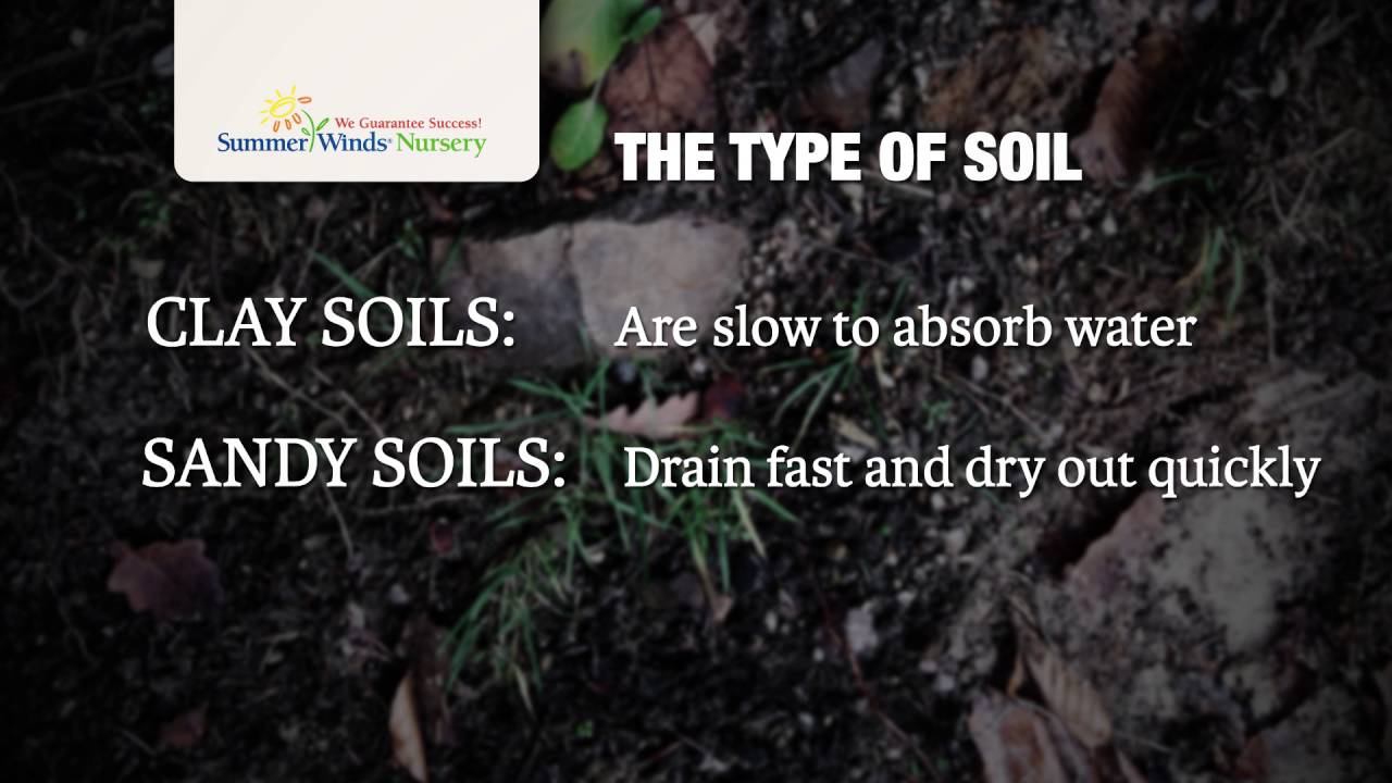 Summerwinds Nursery   How to water