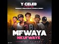 VIDEO: Y Celeb ft Deborah x Chanda x Trina South x Brisky - Mfwaya Nkufwaye