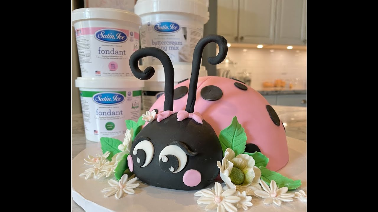 How to make a LADYBUG cake!