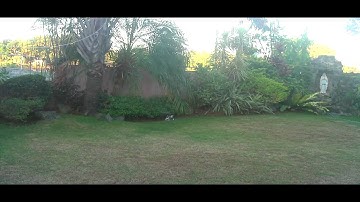 MSR : Outdoor flight will the ball bearing flybar hub 1