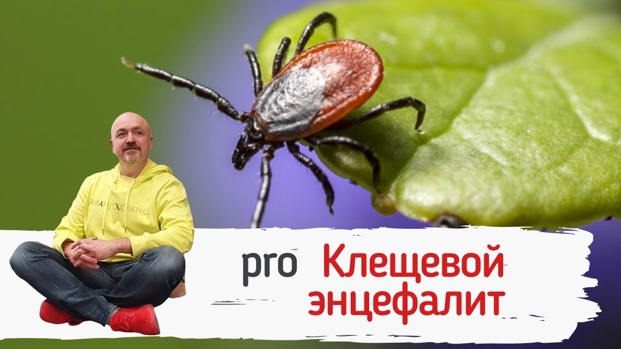 Клещевой боррелиоз / Болезнь Лайма. - YouTube