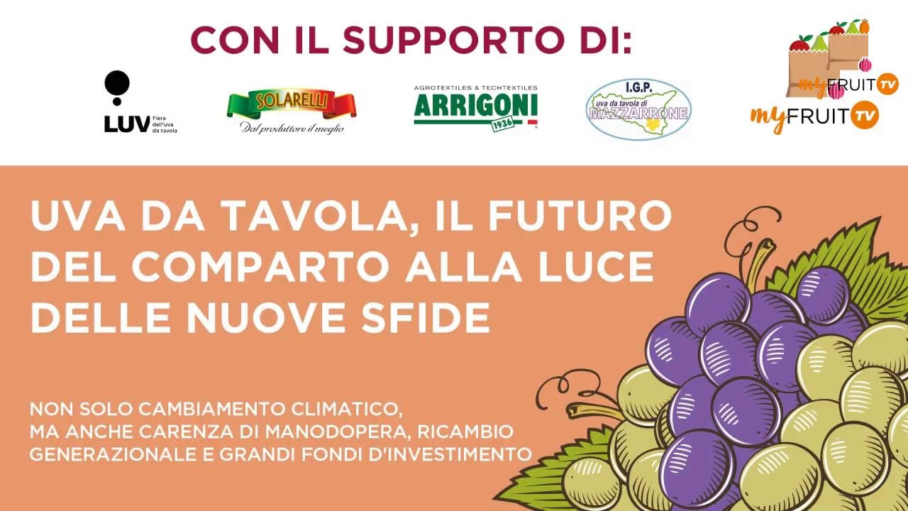 Uva da tavola: il futuro del comparto alla luce delle nuove sfide