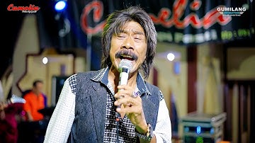 CAMELIA MUSIC - KANGEN NICKERI - LUKITO MC - KHITAN FADHIL - BUCU KEMBANG JEPARA