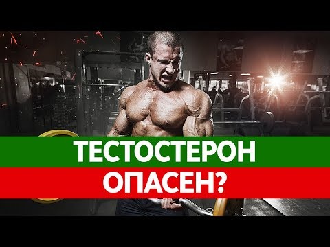 ТЕСТОСТЕРОН у мужчин и женщин. Чем опасен повышенный уровень тестостерона?