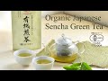 SENCHA Organic Japanese Sencha Green Tea From Uji Kyoto YAMASAN KYOTO UJI SENCHA Organic Japanese Sencha Green Tea From Uji Kyoto YAMASAN KYOTO UJI