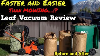 do You Really Need a Leaf Vacuum? DR Power Leaf and Lawn Vacuum Review