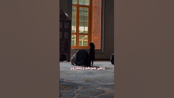 تلاوة هادئة تريح القلب ❤️‍🩹🎧 #قرآن #قران_كريم #عمر_ضياء_الدين #الله #explore #quran