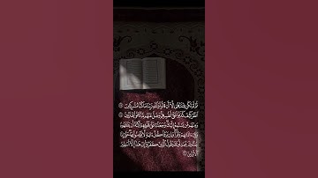 ما تيسّر من سورة الأنعام | آية ٢٣ - ٢٥ | ♡. #اكسبلور #قرآن #explore