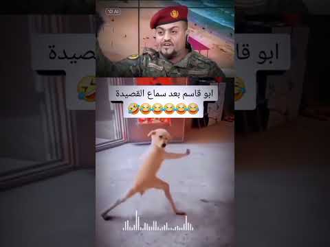 ترند لشاعر الجنوب ابو شلال شاعر الشهداء نفزع جمب ابو قاسم ترند عدن نقف جمب ابو قاسم