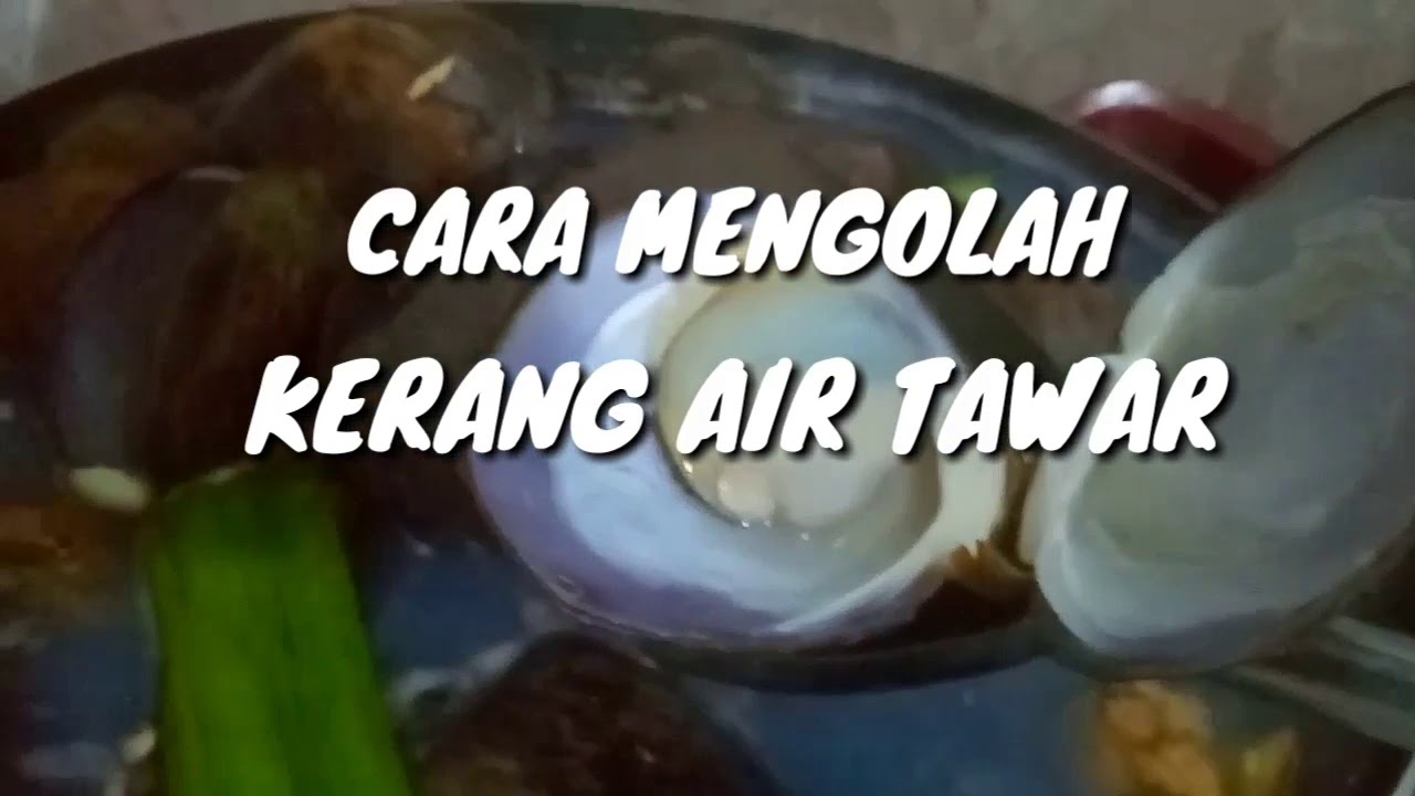 Mengolah Kijing Besar Air Tawar - Doyan Makan Kerang ...