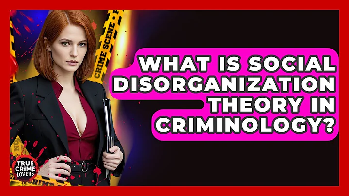 What Is Social Disorganization Theory In Criminology? - True Crime Lovers