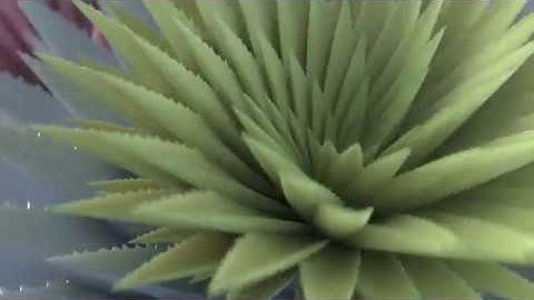 Growing Aloe Loop - SpeedART (Houdini + Cinema 4D + Arnold Render)