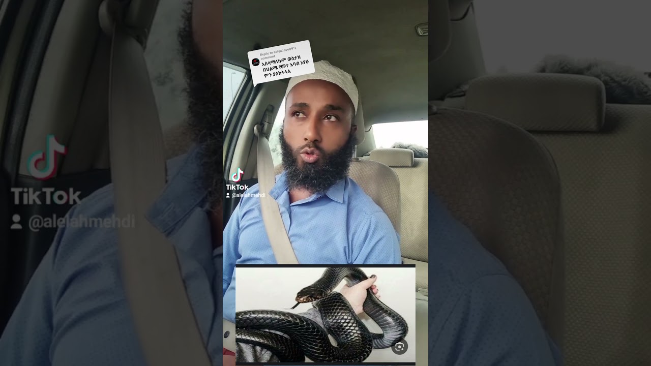 የሞተ እባብ በህልም ማየት