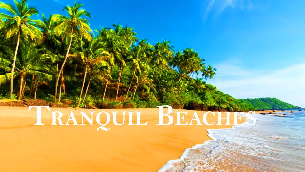 Tranquil Beaches Film | Relaxing Video with Soothing Sounds | Life Relaxing Films