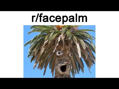 facepalm-memes-[2019]