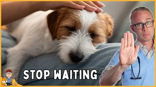 3 symptoms dog owners wait too long to act on (vet explains)