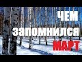 Март в деревне : итоги и впечатления.