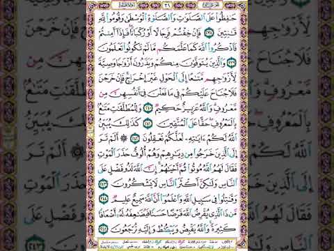 سورة البقرة ص المنشاوي
