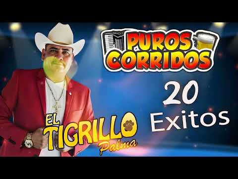 Puros Corridos Mix