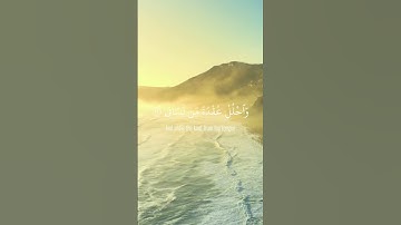 #الشيخ #اكسبلور #سورة_المؤمنون #راحة_نفسية #عبدالرحمن_مسعد #لايك #قران_كريم #ياسر_الدوسري #دويتو #تص