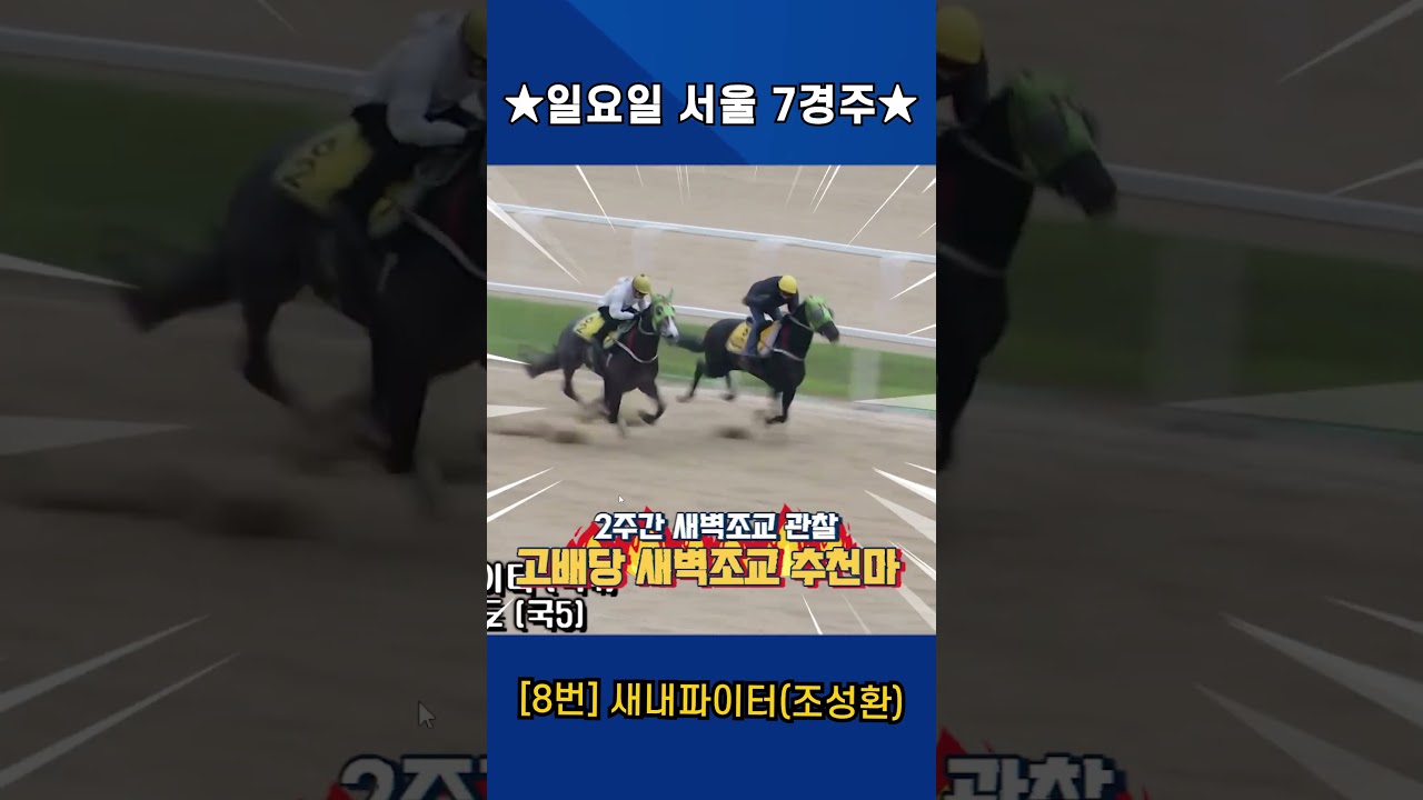 6월14일 일요일 서울 7경주!! 2주간 훈련보인 강백호의 새벽조교 쏘스마!!