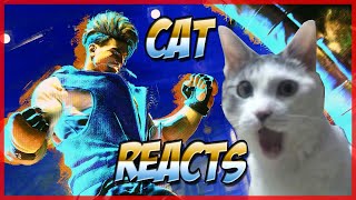 Cat Reacts To Sf6 Trailer
